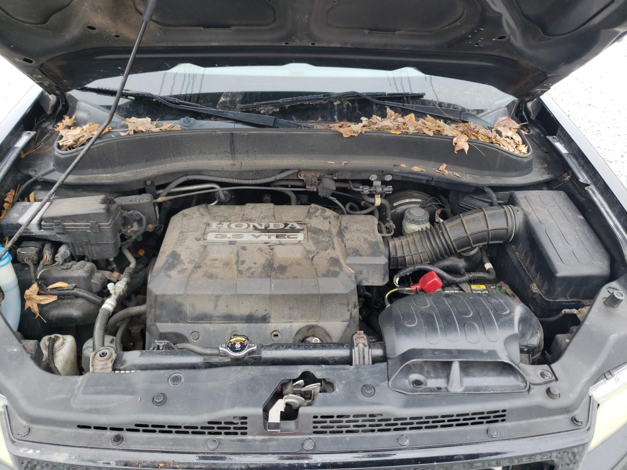 Photo 7 from auction – 2007 HONDA RIDGELINE with VIN 2HJYK16537H501892