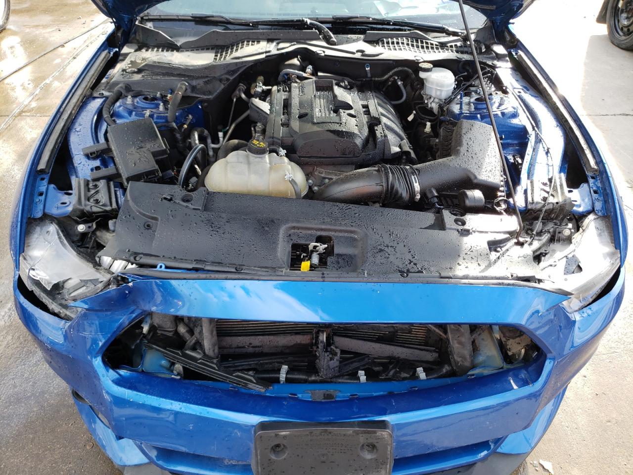 Photo 7 from auction – 2017 FORD MUSTANG with VIN 1FA6P8TH0H5329680