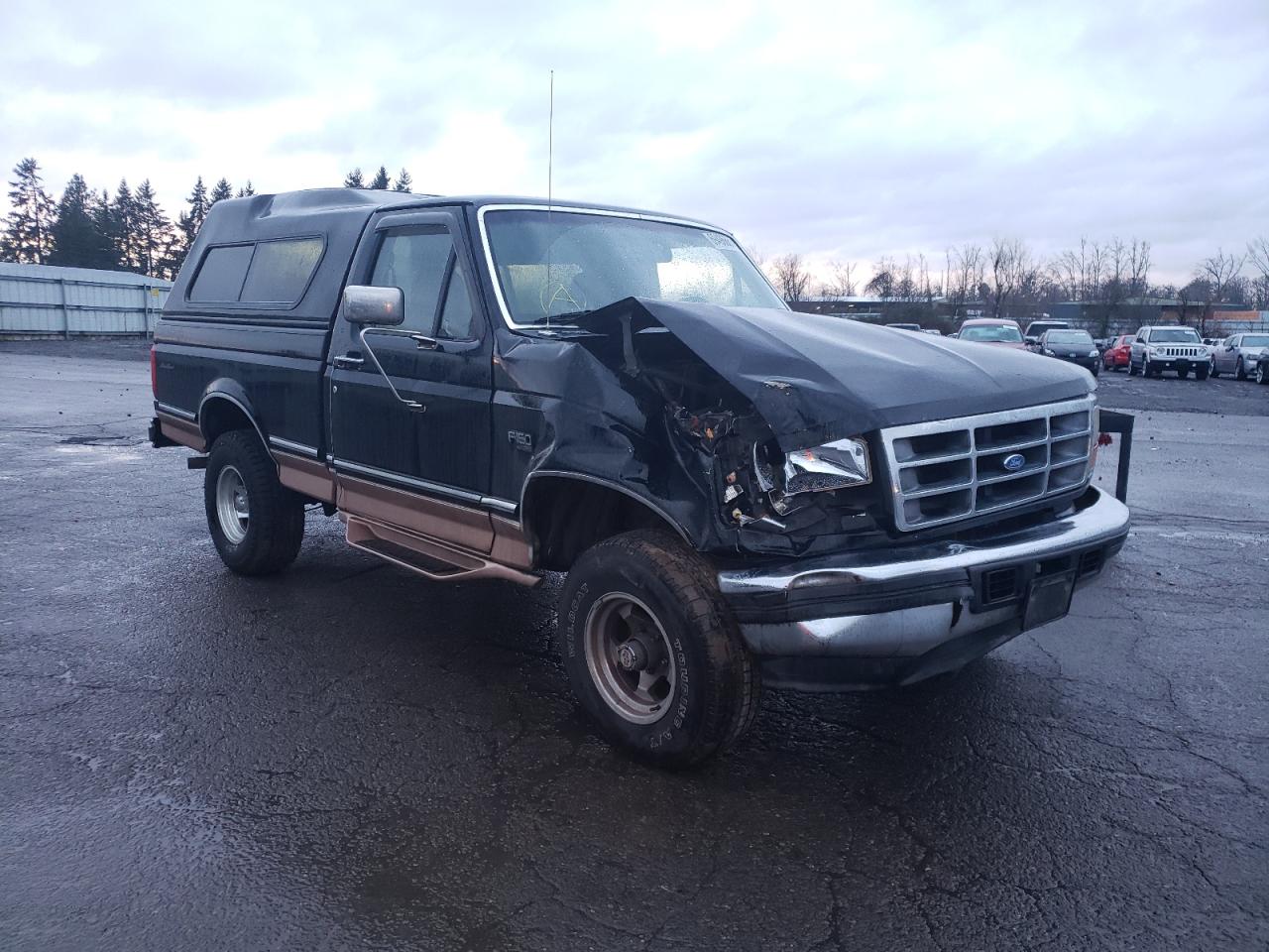 FORD F150 1994 with VIN 1FTEF14H5RNB75855 - Photo from auction