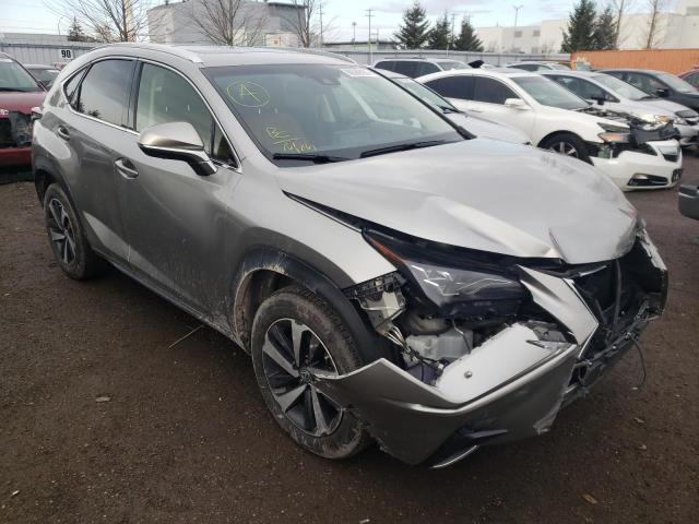 LEXUS NX 300 BAS 2019 with VIN JTJBARBZXK2206372 - Photo from auction