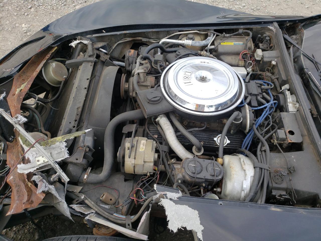 Photo 7 from auction – 1981 CHEVROLET CORVETTE with VIN 1G1AY8769BS424685