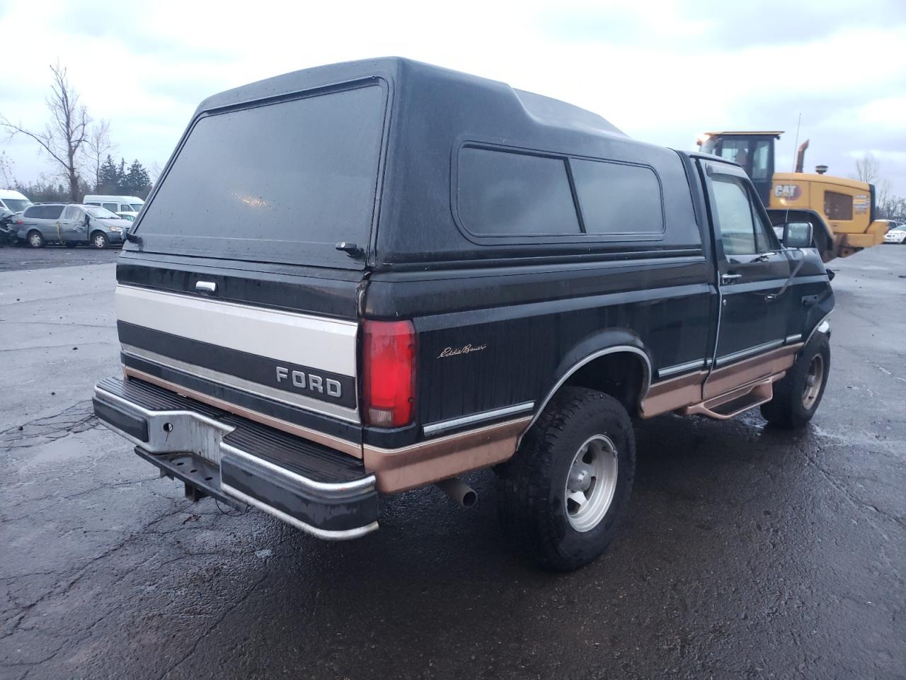 Photo 4 from auction – 1994 FORD F150 with VIN 1FTEF14H5RNB75855