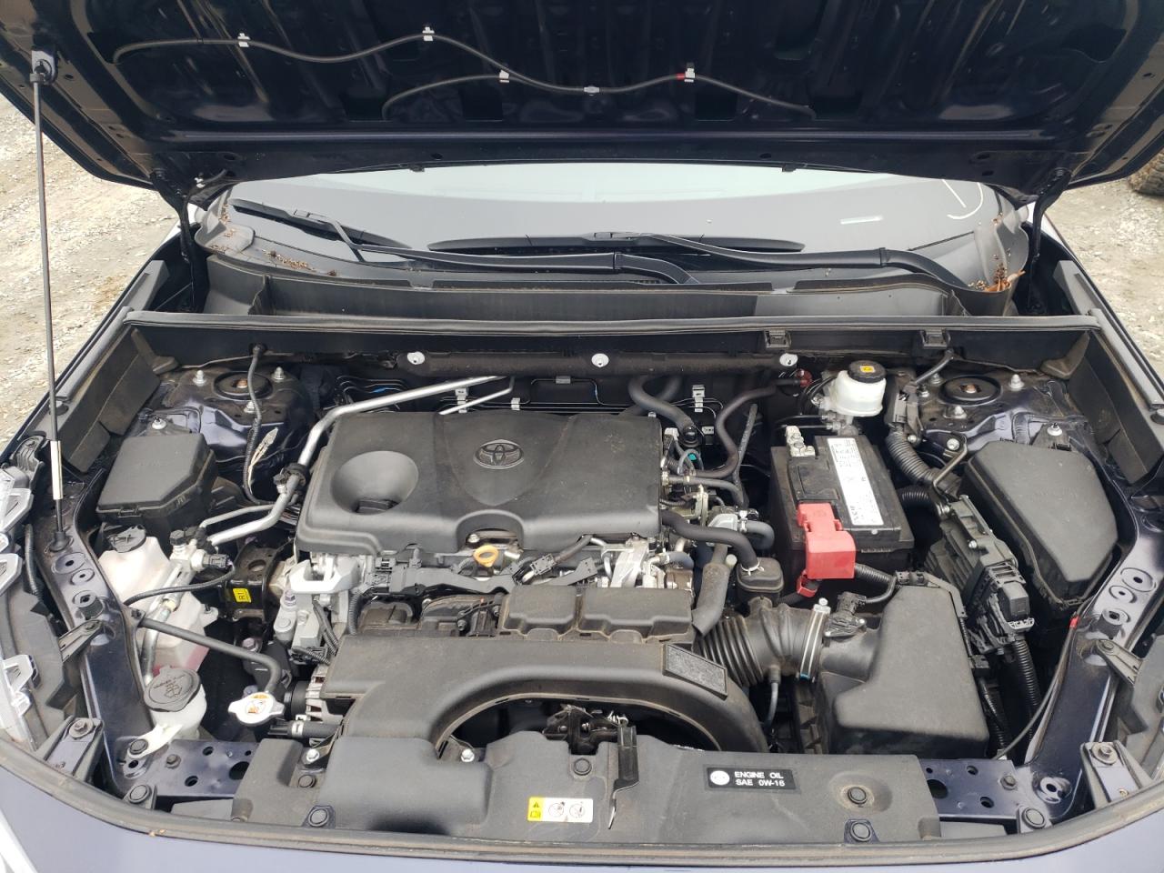 Photo 7 from auction – 2019 TOYOTA RAV4 XLE with VIN 2T3W1RFV4KW014450