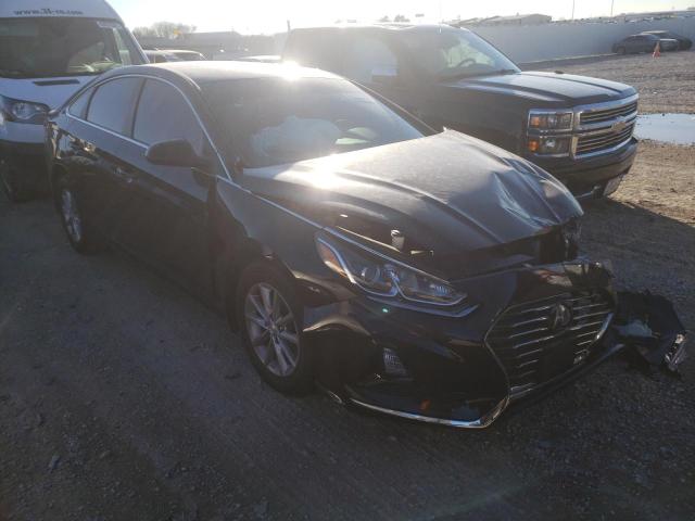 HYUNDAI SONATA SE 2019 with VIN 5NPE24AF7KH810449 - Photo from auction