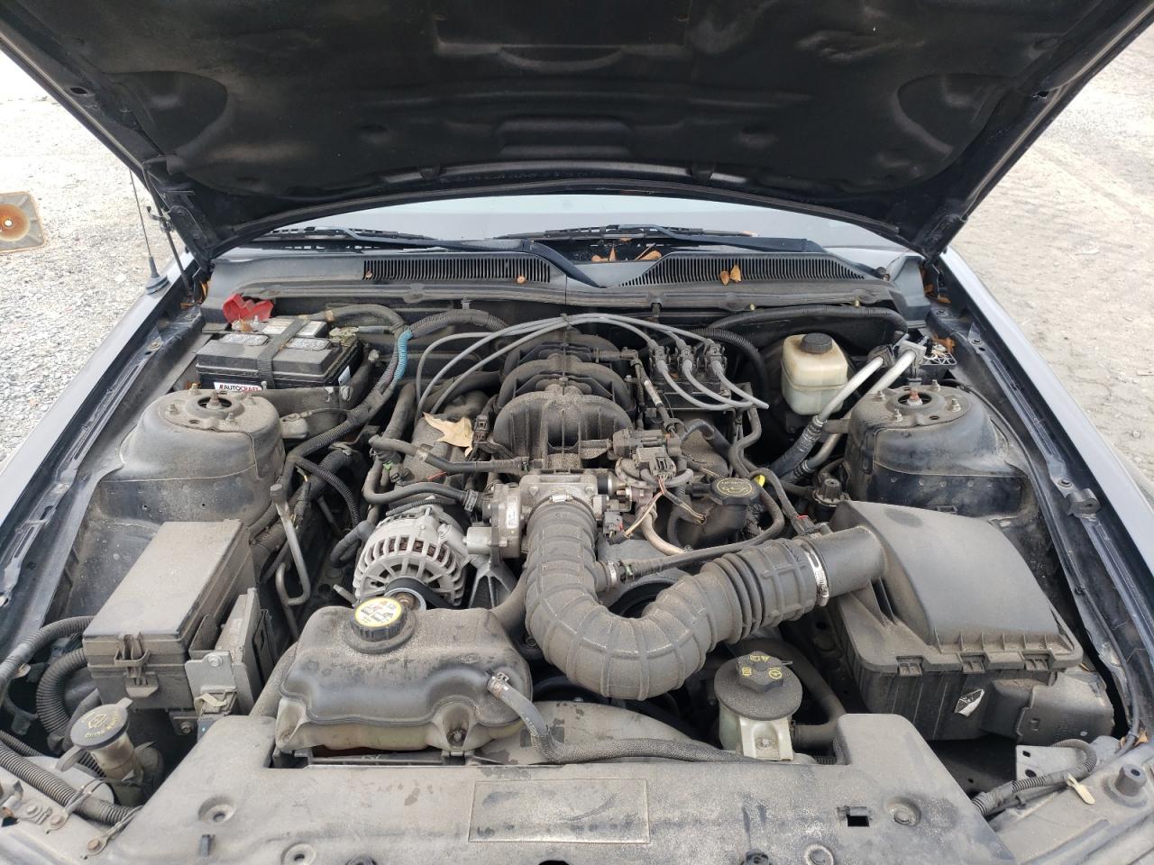 Photo 7 from auction – 2007 FORD MUSTANG with VIN 1ZVFT80N775359674