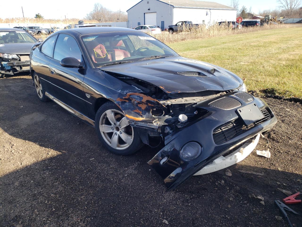 Photo 1 from auction – 2005 PONTIAC GTO with VIN 6G2VX12U15L355487