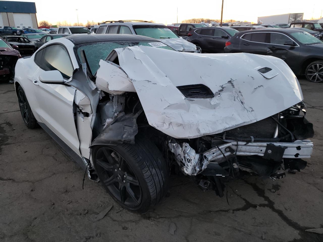 Photo 1 from auction – 2020 FORD MUSTANG with VIN 1FA6P8TH9L5183045