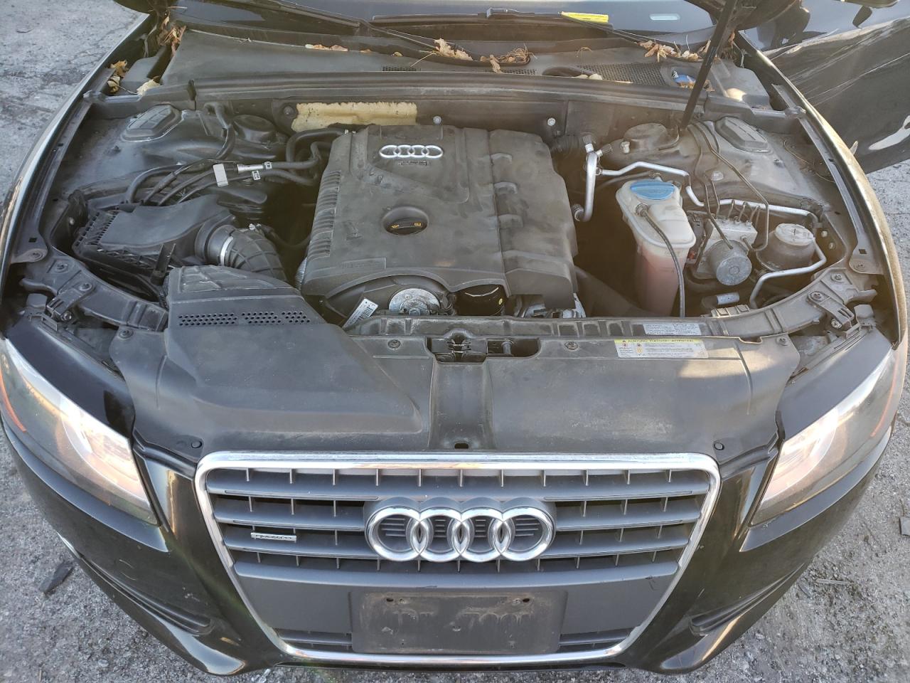 Photo 7 from auction – 2010 AUDI A5 PREMIUM with VIN WAUGFAFR4AA068481