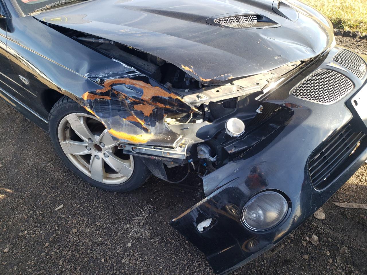 Photo 9 from auction – 2005 PONTIAC GTO with VIN 6G2VX12U15L355487