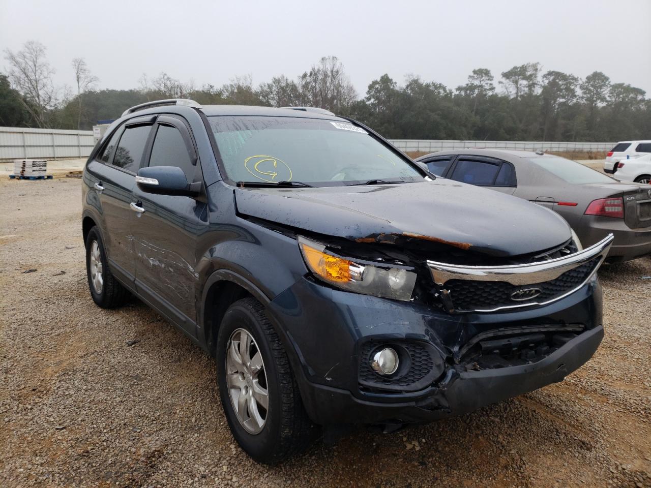 KIA SORENTO BA 2011 with VIN 5XYKT4A14BG127491 - Photo from auction