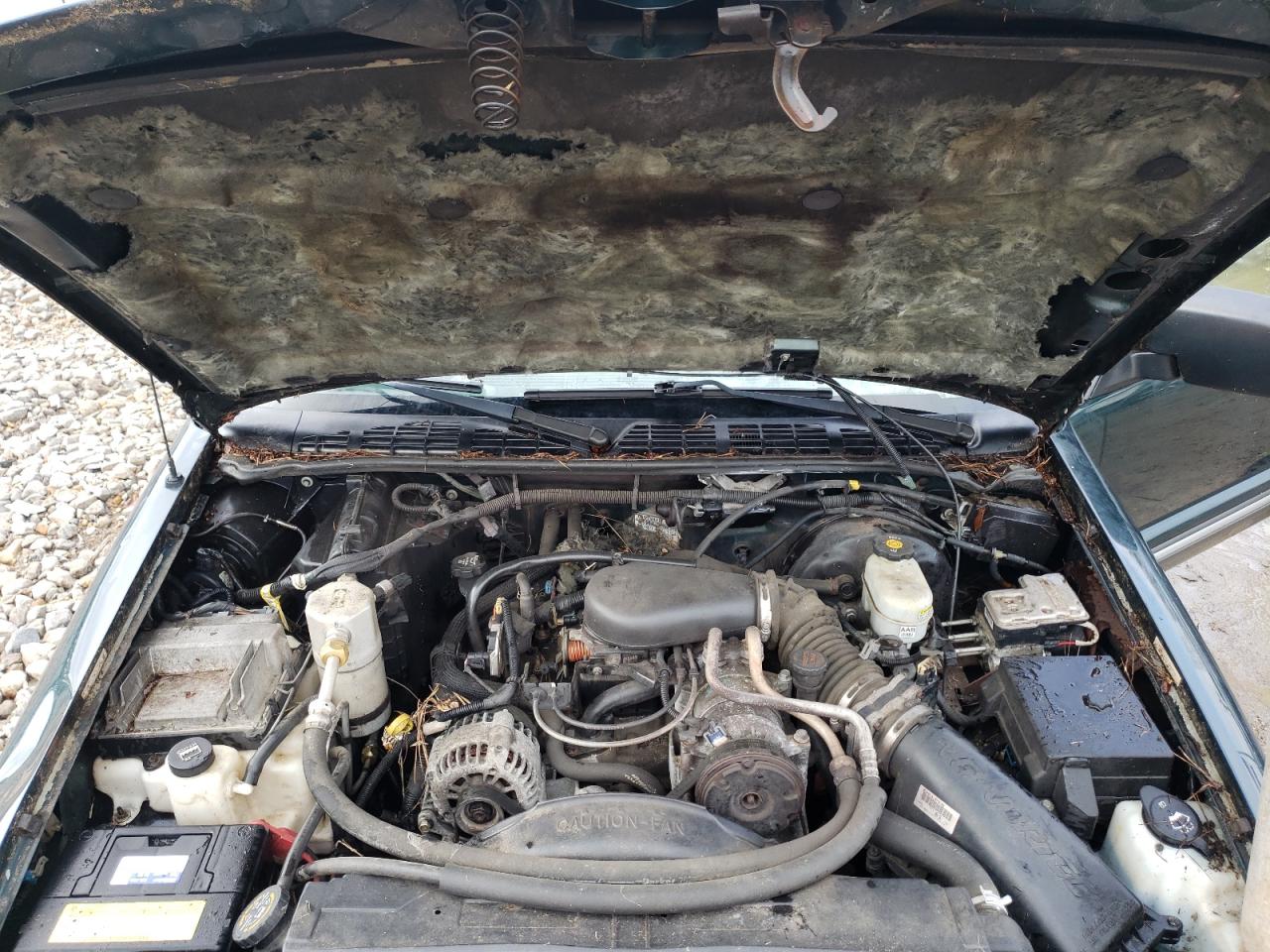 Photo 7 from auction – 2003 CHEVROLET .S10 with VIN 1GCCS19X838147430