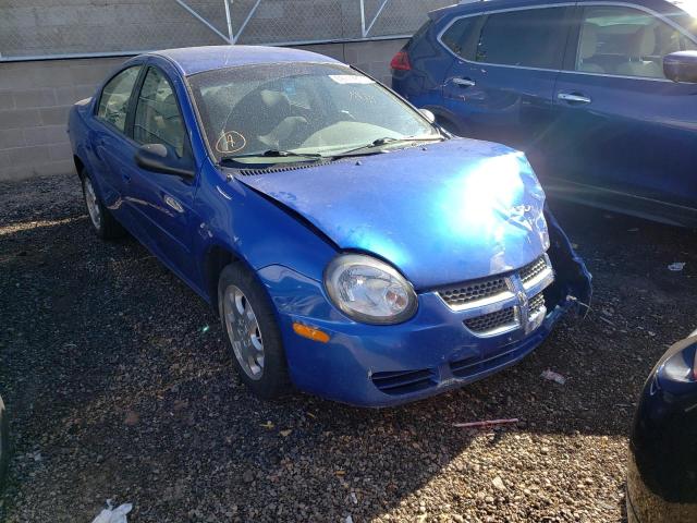 DODGE NEON SXT 2004 with VIN 1B3ES56C84D563599 - Photo from auction
