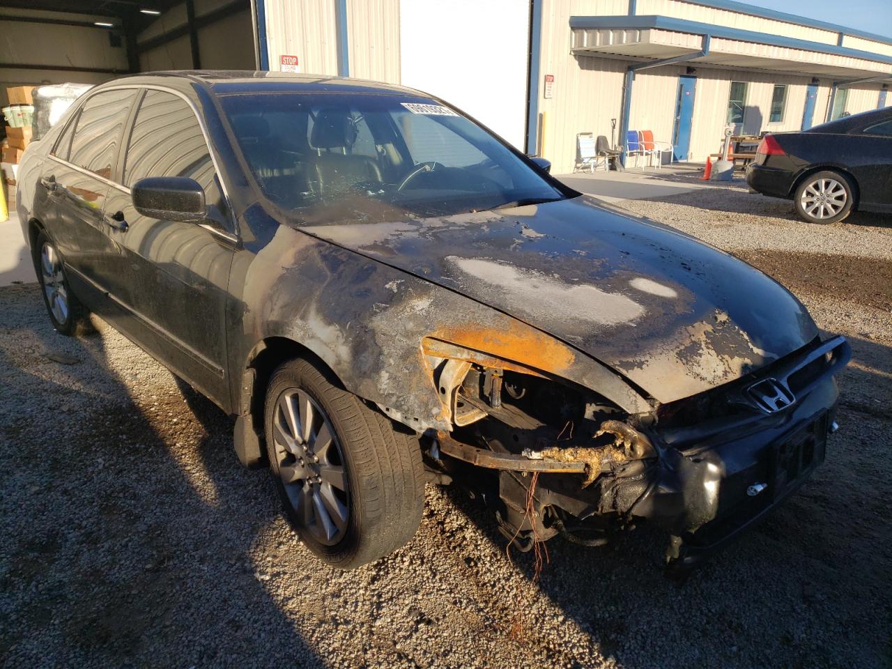 HONDA ACCORD EX 2007 with VIN 1HGCM66517A023154 - Photo from auction