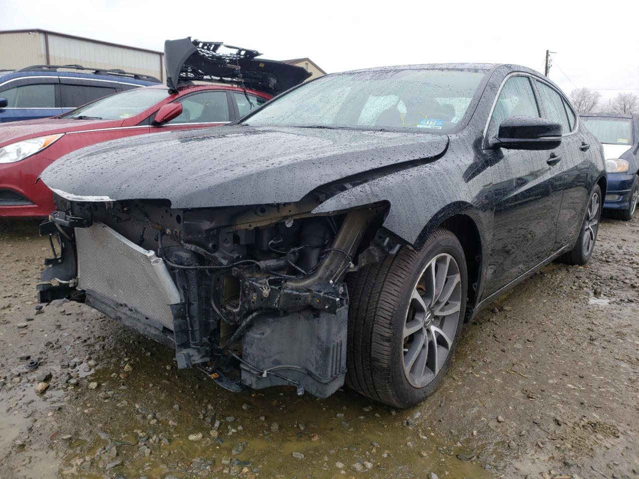 Photo 2 from auction – 2015 ACURA TLX ADVANC with VIN 19UUB3F72FA006873