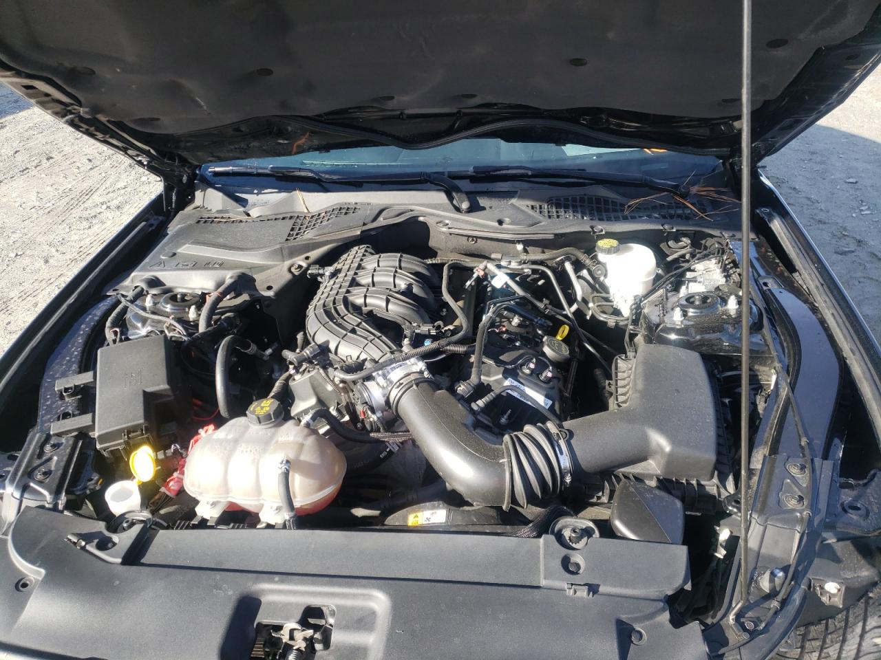 Photo 7 from auction – 2015 FORD MUSTANG with VIN 1FA6P8AM5F5324679