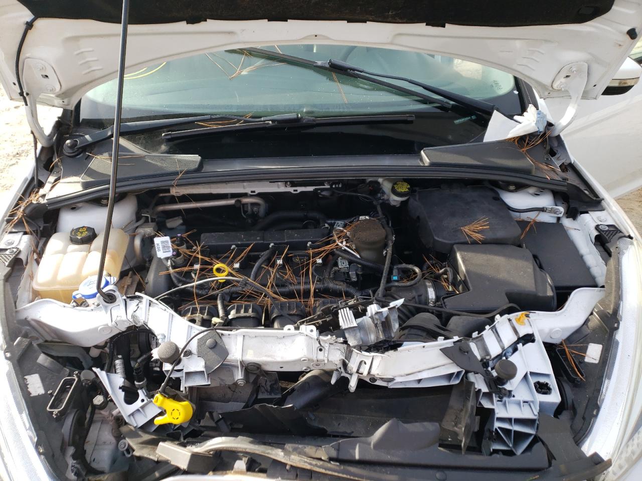 Photo 7 from auction – 2015 FORD FOCUS SE with VIN 1FADP3K24FL235544