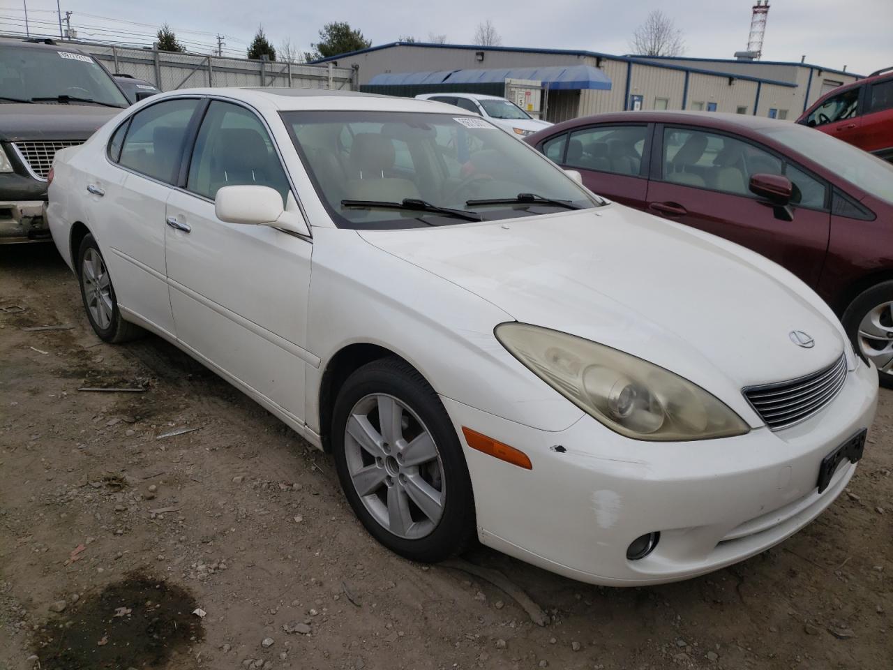LEXUS ES 330 2006 with VIN JTHBA30G165150665 - Photo from auction