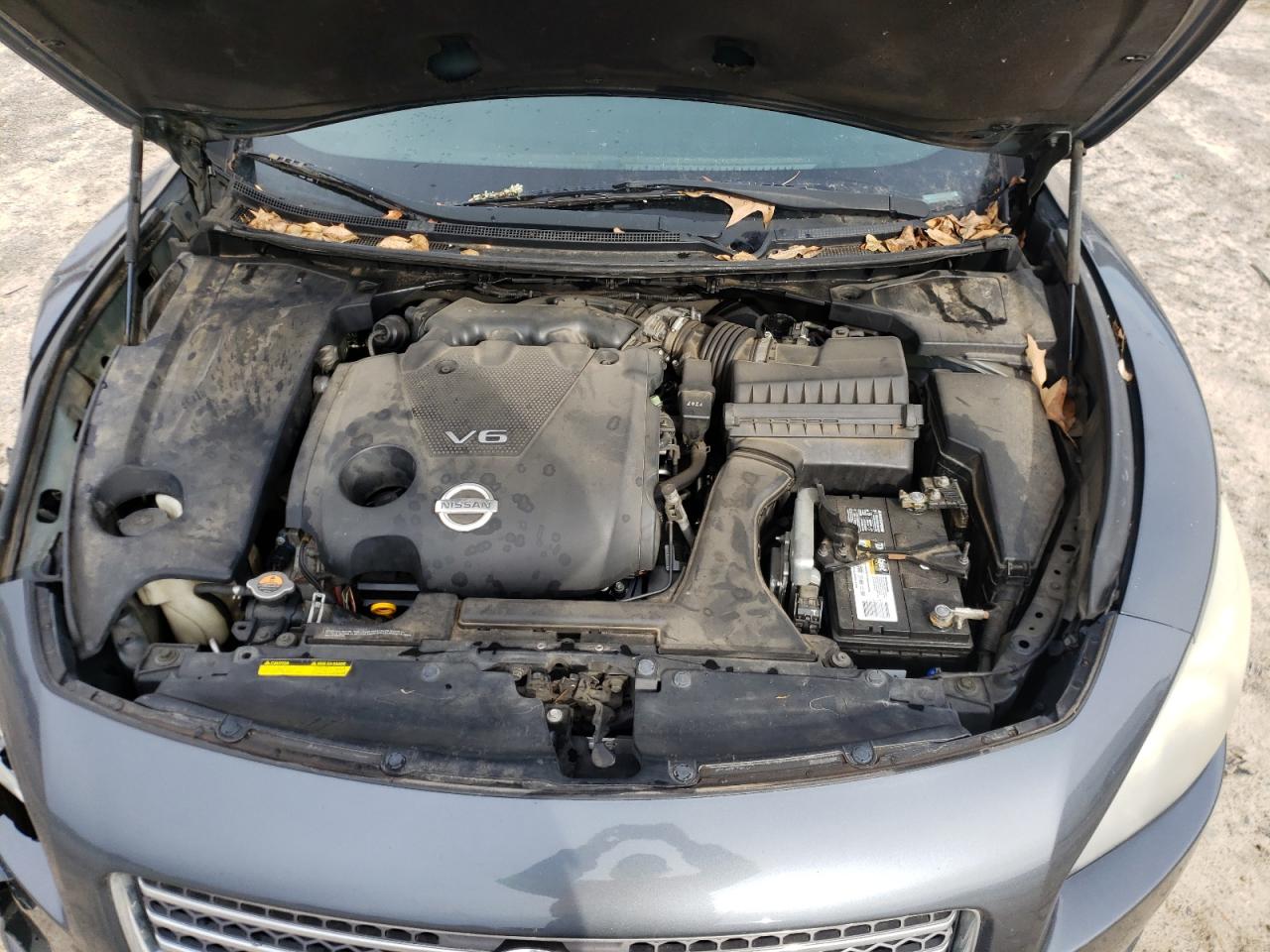 Photo 7 from auction – 2010 NISSAN MAXIMA S with VIN 1N4AA5AP9AC837085