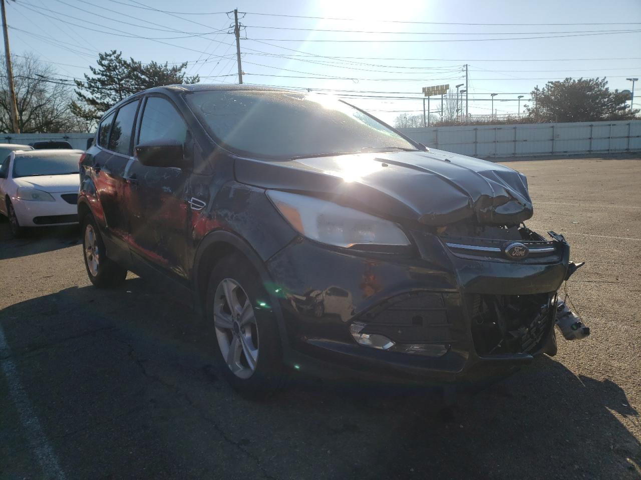 FORD ESCAPE SE 2016 with VIN 1FMCU0GX1GUC08505 - Photo from auction