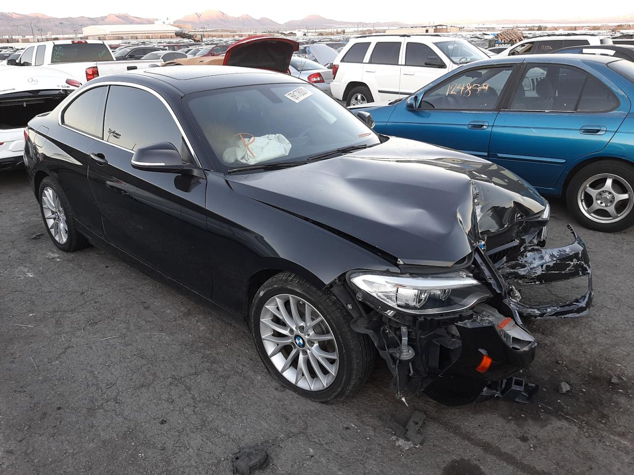 BMW 228 I SULE 2016 with VIN WBA1F9C59GV544733 - Photo from auction