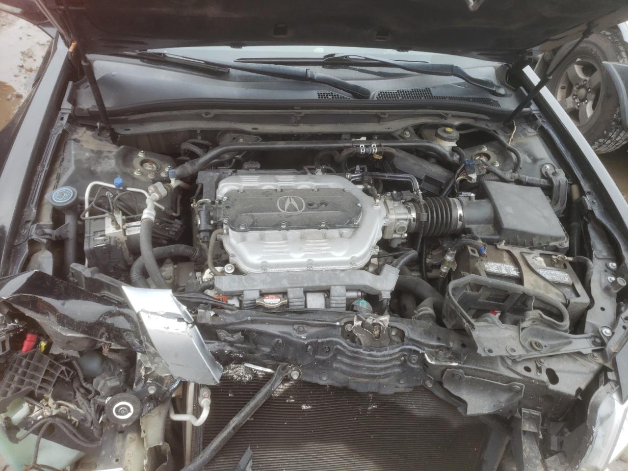 Photo 11 from auction – 2010 ACURA TL with VIN 19UUA8F57AA025460
