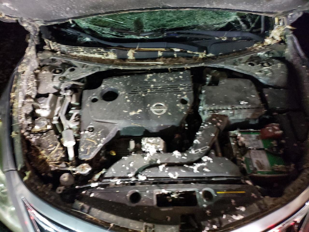 Photo 7 from auction – 2014 NISSAN ALTIMA 2.5 with VIN 1N4AL3APXEC263441