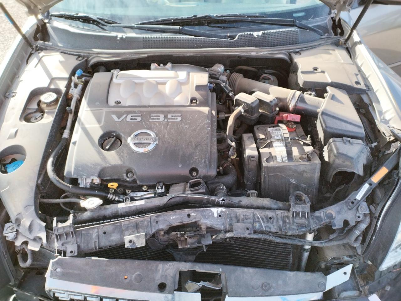 Photo 7 from auction – 2004 NISSAN MAXIMA SE with VIN 1N4BA41E94C880455