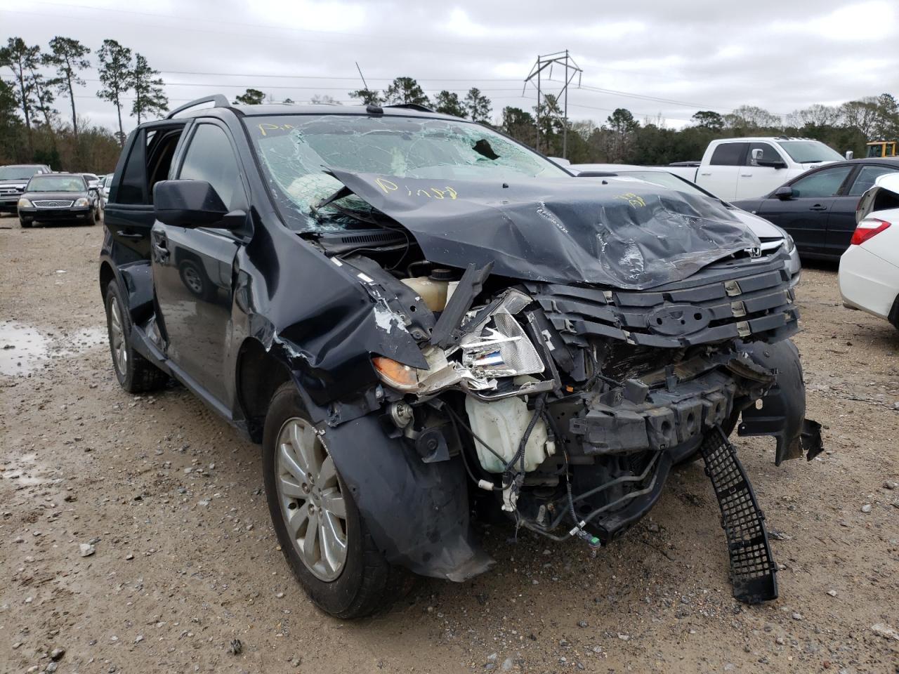 FORD EDGE SEL P 2007 with VIN 2FMDK39C87BA87483 - Photo from auction