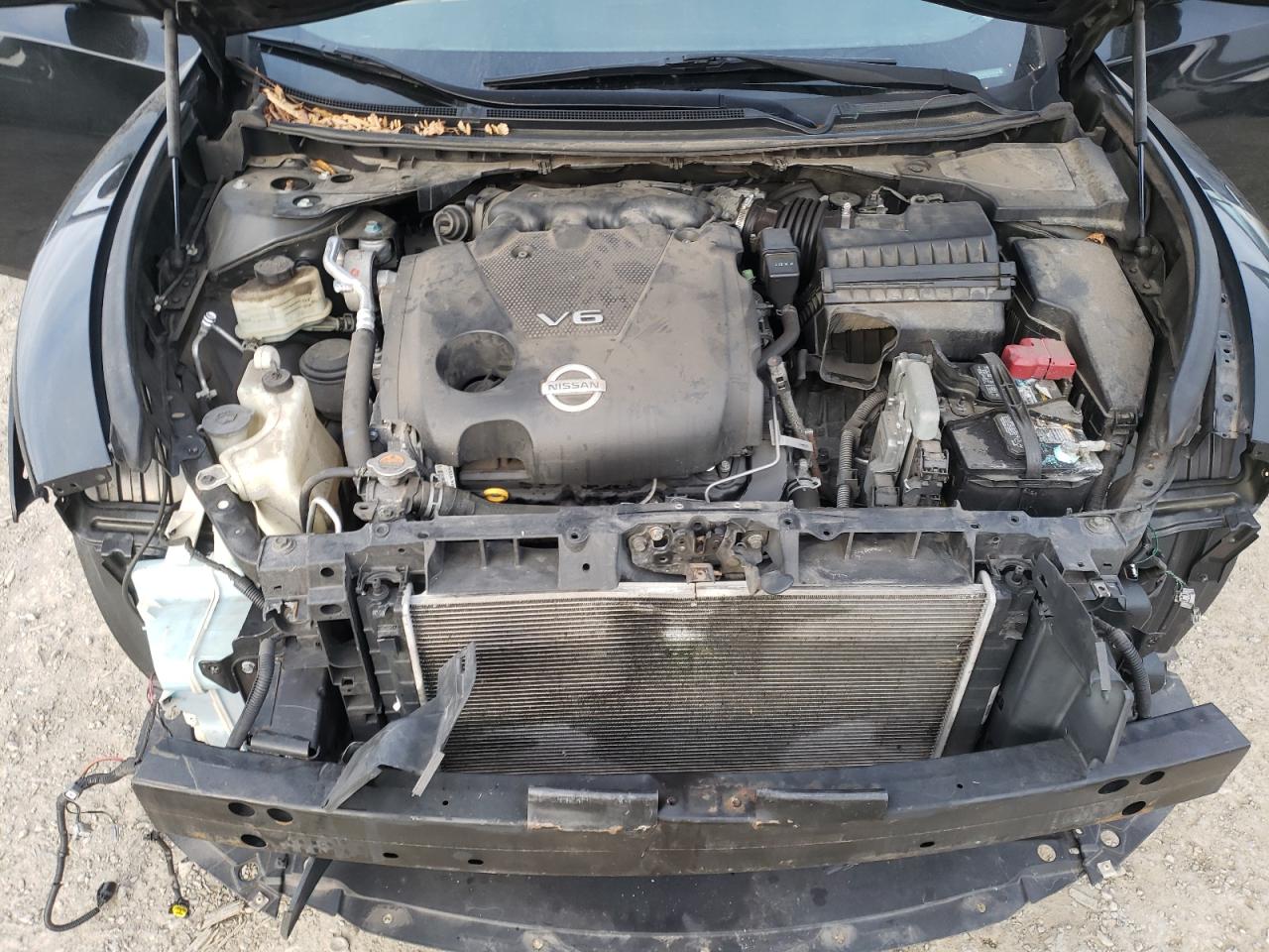 Photo 7 from auction – 2009 NISSAN MAXIMA S with VIN 1N4AA51E49C844794