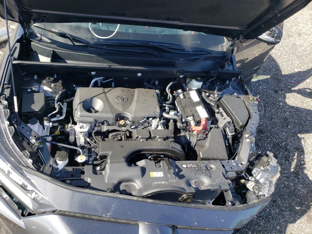 Photo 7 from auction – 2021 TOYOTA RAV4 XLE with VIN 2T3W1RFV5MC165057