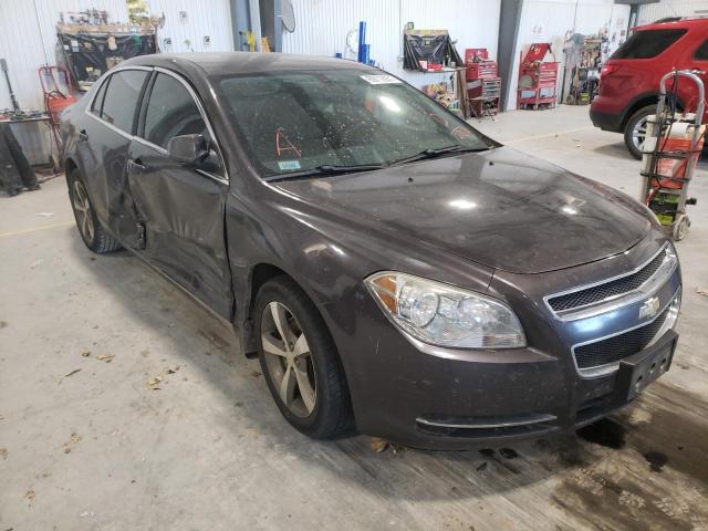 CHEVROLET MALIBU 1LT 2011 with VIN 1G1ZC5E10BF152253 - Photo from auction