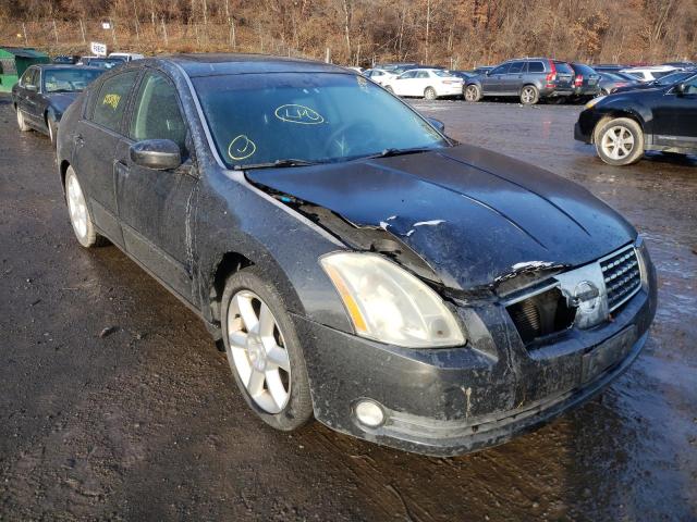 NISSAN MAXIMA SE 2004 with VIN 1N4BA41E74C858728 - Photo from auction