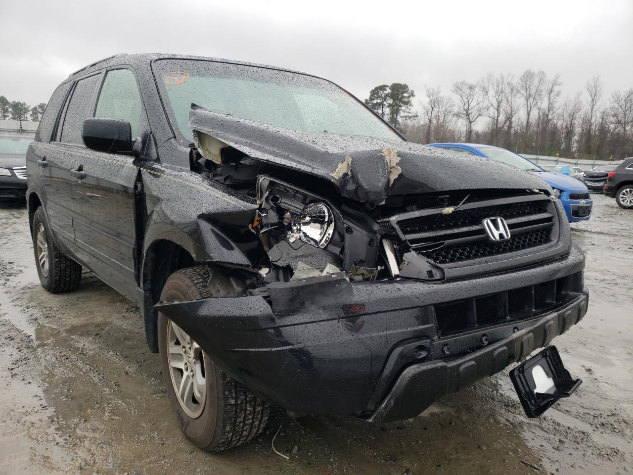 HONDA PILOT EXL 2005 with VIN 5FNYF18555B051056 - Photo from auction
