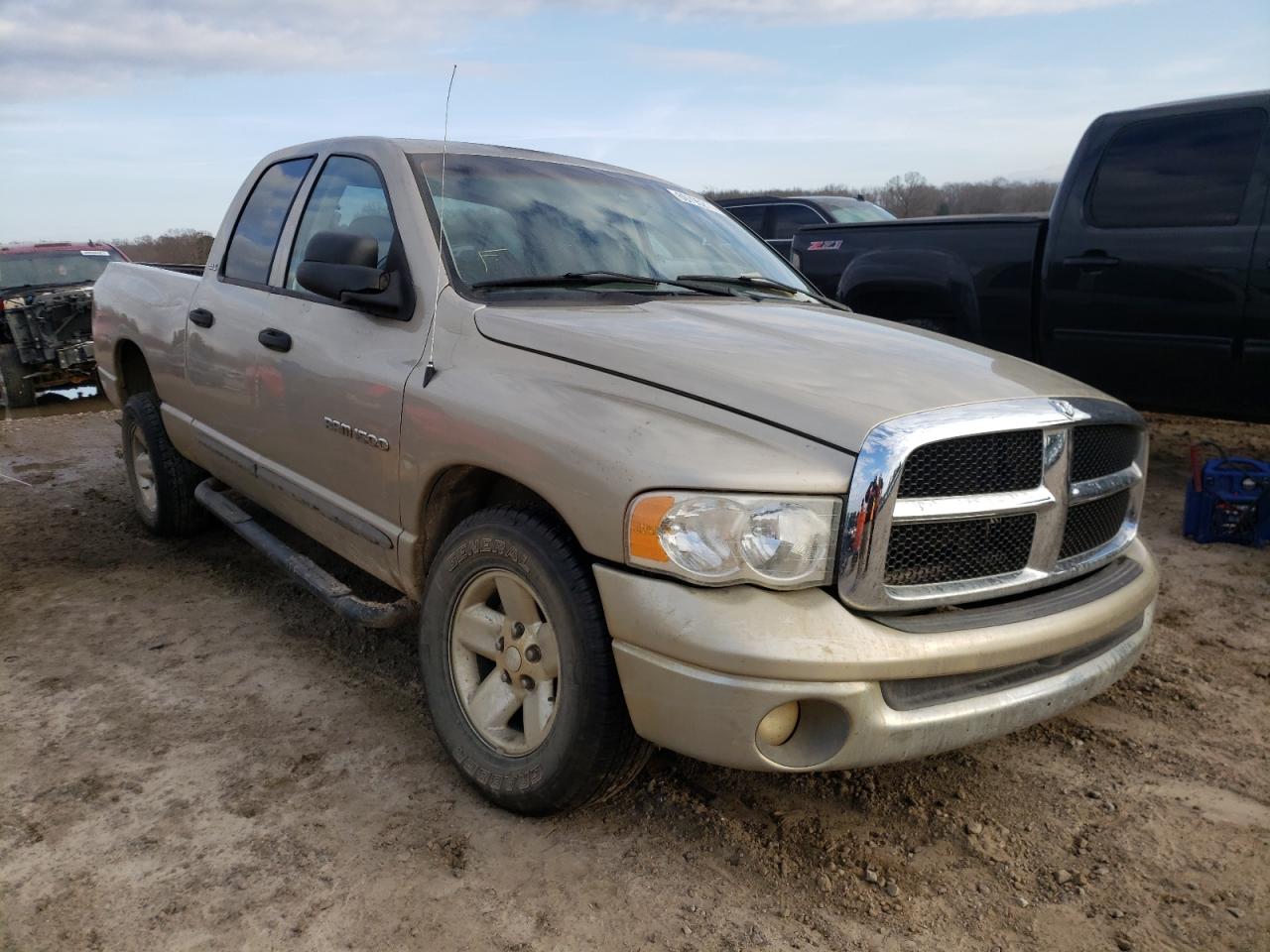 DODGE RAM 1500 2002 with VIN 1D7HA18Z22J148470 - Photo from auction