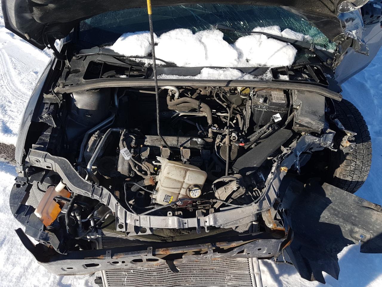 Photo 7 from auction – 2012 FORD FOCUS SEL with VIN 1FAHP3M28CL296034