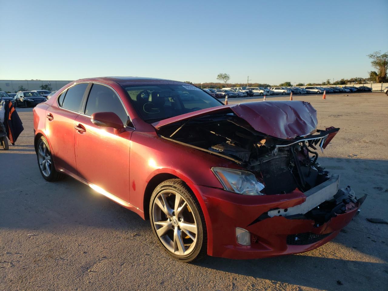 LEXUS IS 250 2009 with VIN JTHBK262395098009 - Photo from auction