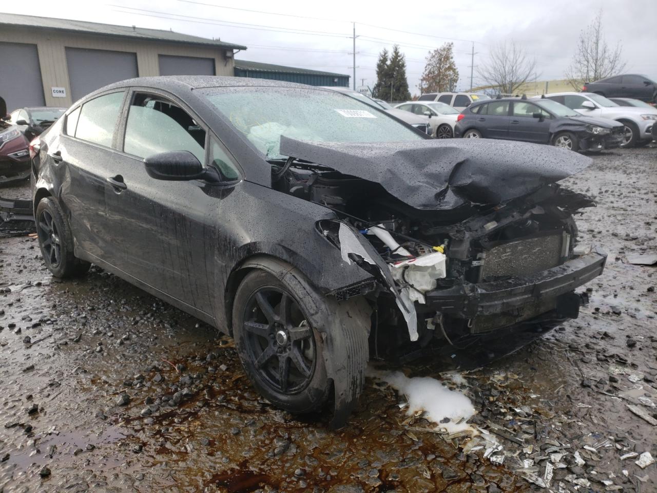 KIA FORTE LX 2017 with VIN 3KPFK4A75HE046160 - Photo from auction