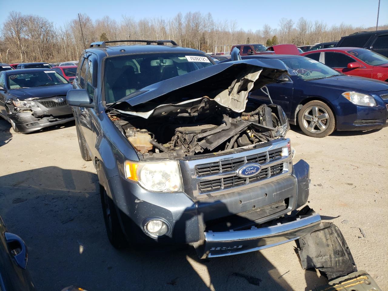 FORD ESCAPE LIM 2010 with VIN 1FMCU0EG1AKD16810 - Photo from auction