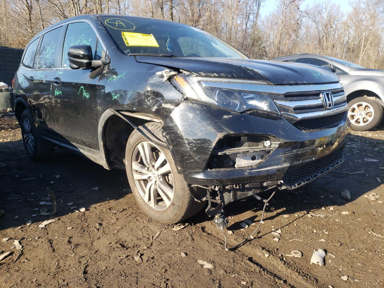 HONDA PILOT EXL 2016 with VIN 5FNYF6H50GB027716 - Photo from auction