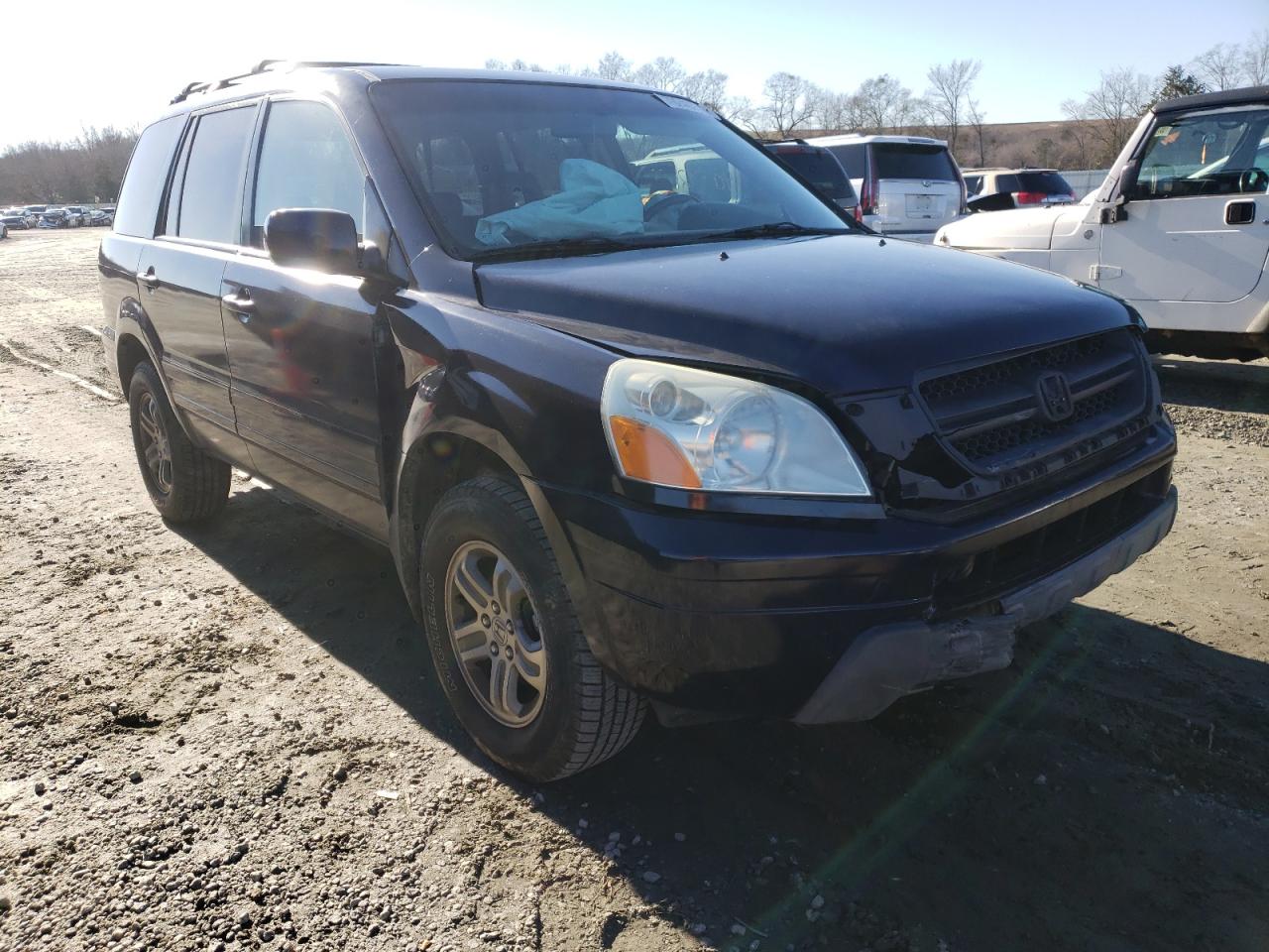 HONDA PILOT EXL 2004 with VIN 2HKYF18554H529539 - Photo from auction