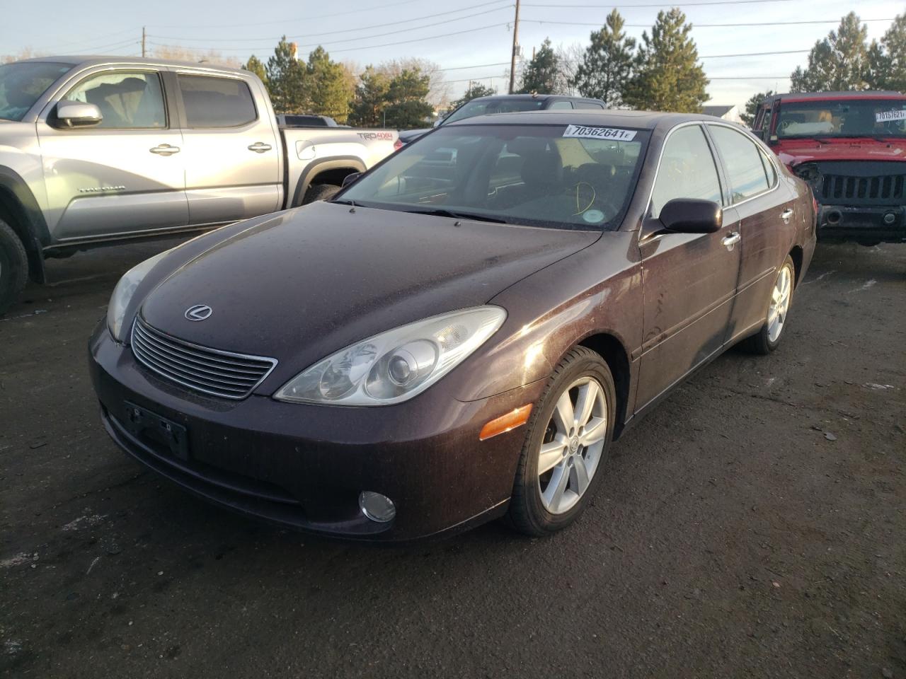 Photo 2 from auction – 2005 LEXUS ES330 with VIN JTHBA30G555120096