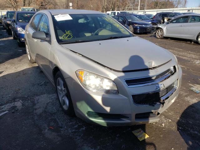CHEVROLET MALIBU LS 2010 with VIN 1G1ZB5EB6AF261259 - Photo from auction