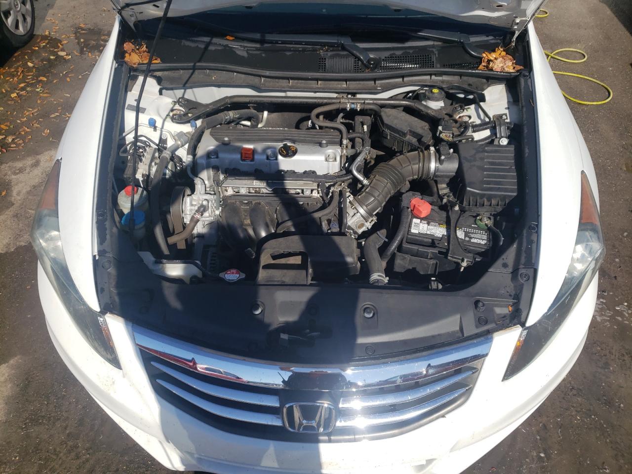 Photo 7 from auction – 2011 HONDA ACCORD EXL with VIN 1HGCP2F88BA111525