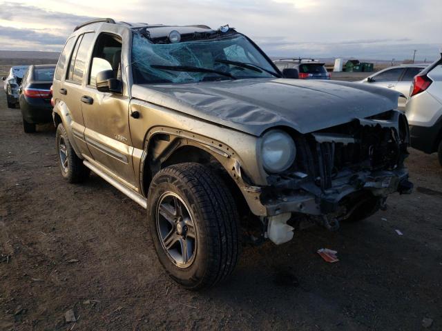 Photo 1 from auction – 2004 JEEP LIBERTY RE with VIN 1J4GL38K74W125636