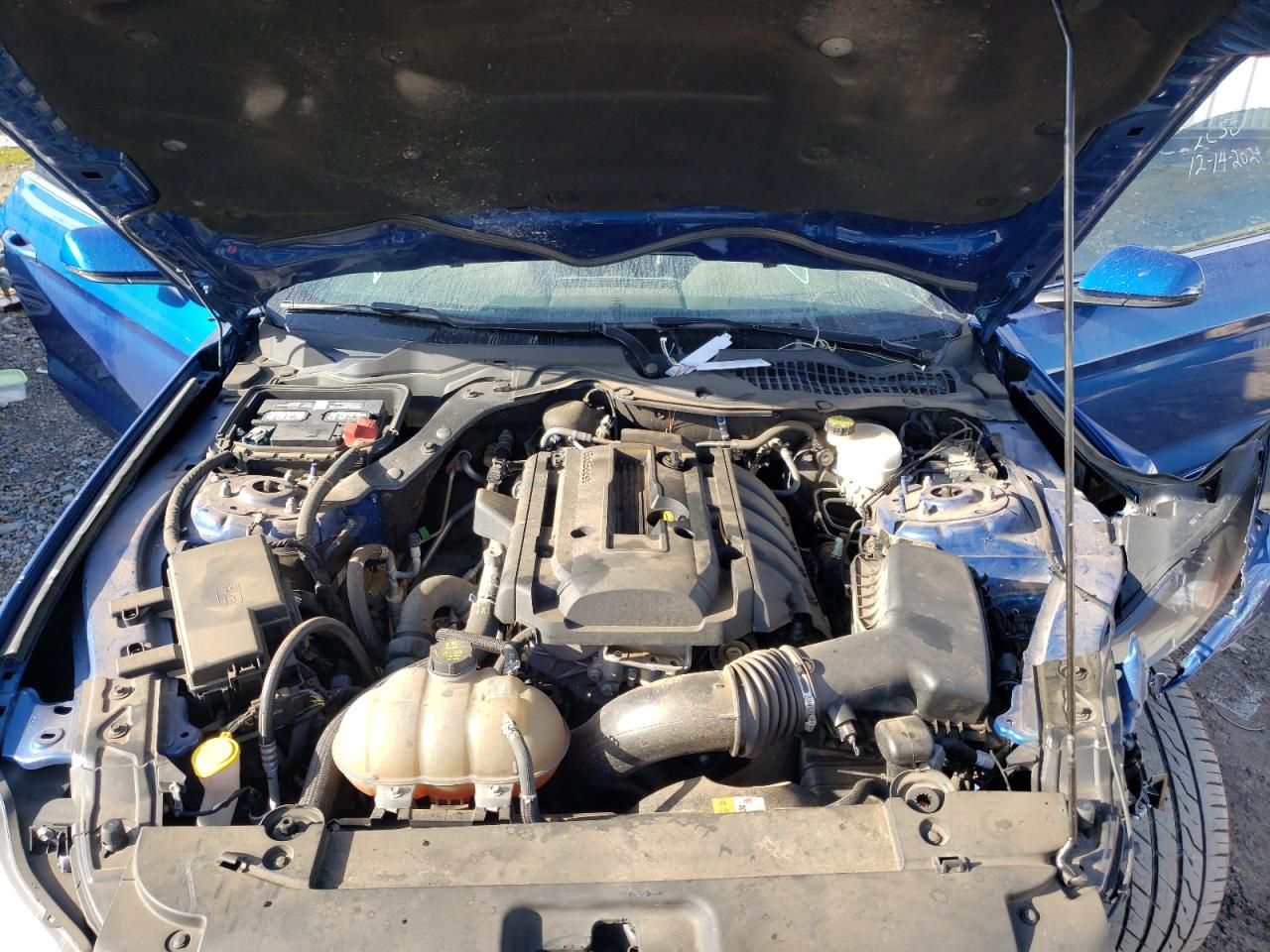 Photo 7 from auction – 2017 FORD MUSTANG with VIN 1FA6P8TH7H5309071