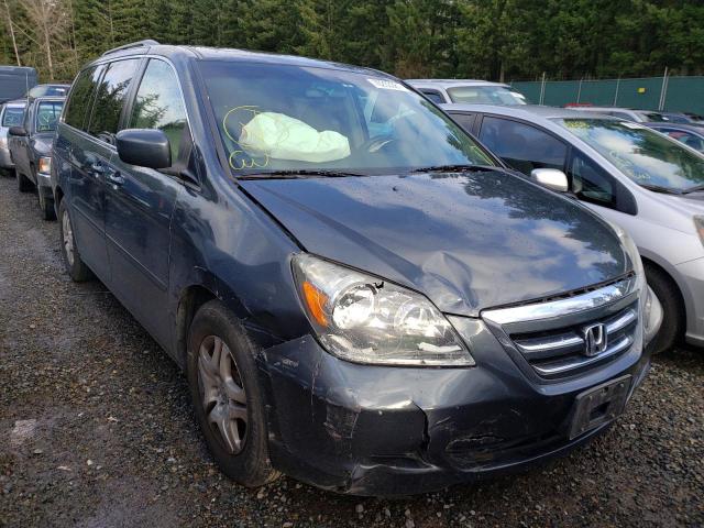 HONDA ODYSSEY EX 2005 with VIN 5FNRL38665B033764 - Photo from auction