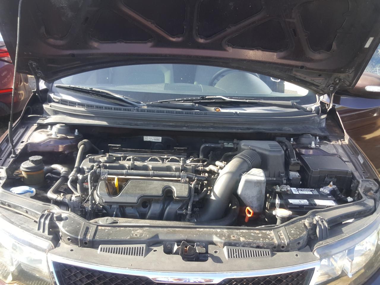 Photo 7 from auction – 2010 KIA FORTE EX with VIN KNAFU4A22A5231991