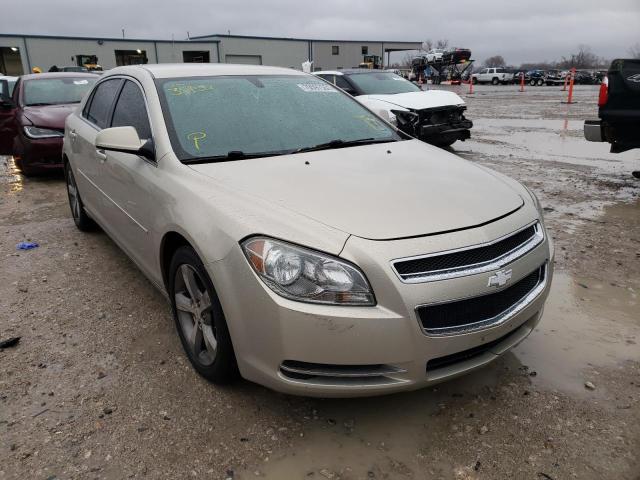 CHEVROLET MALIBU 1LT 2011 with VIN 1G1ZC5EU6BF354542 - Photo from auction