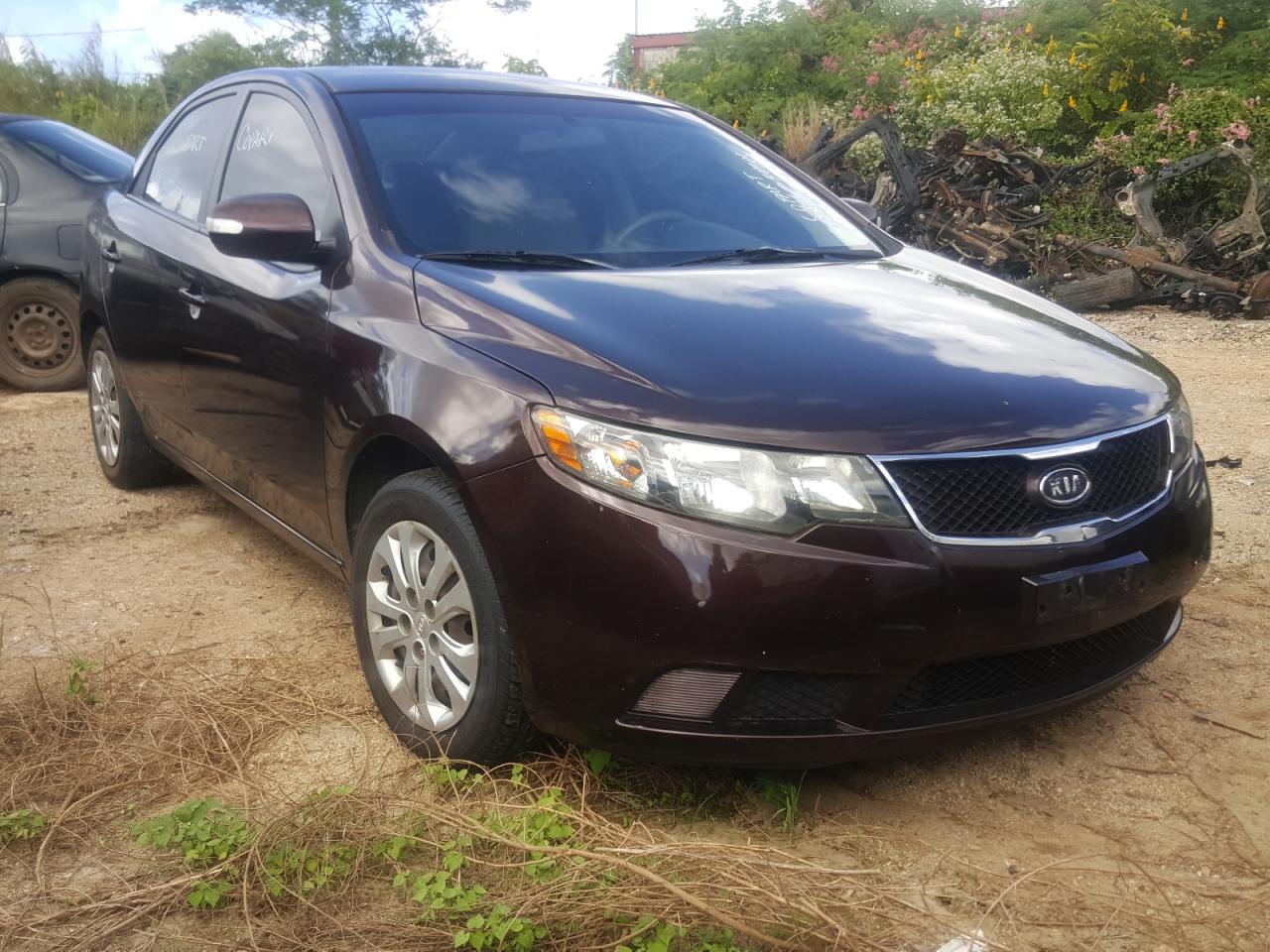 KIA FORTE EX 2010 with VIN KNAFU4A22A5231991 - Photo from auction