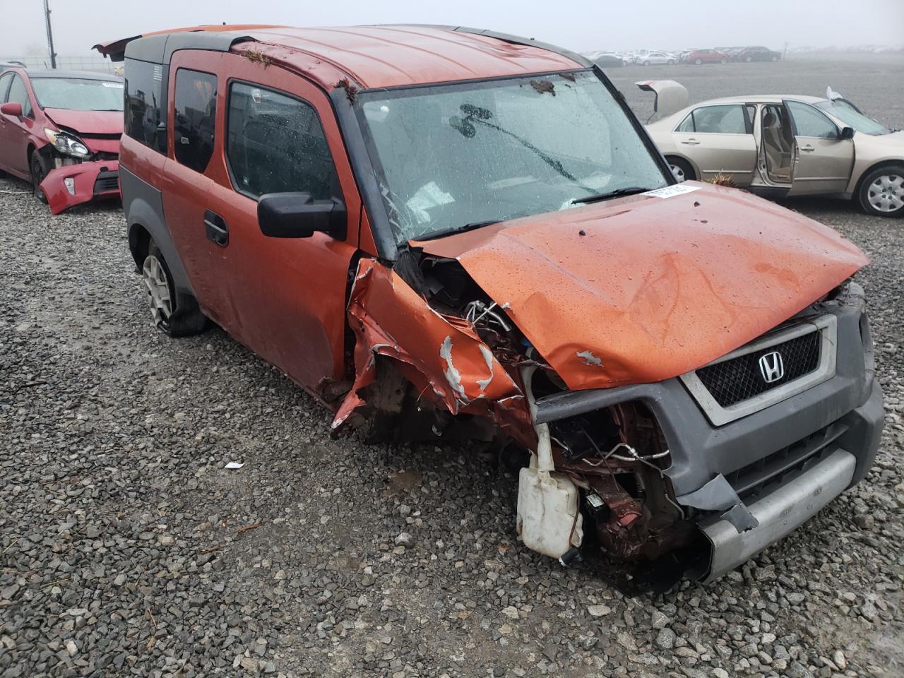 HONDA ELEMENT LX 2005 with VIN 5J6YH18305L007613 - Photo from auction